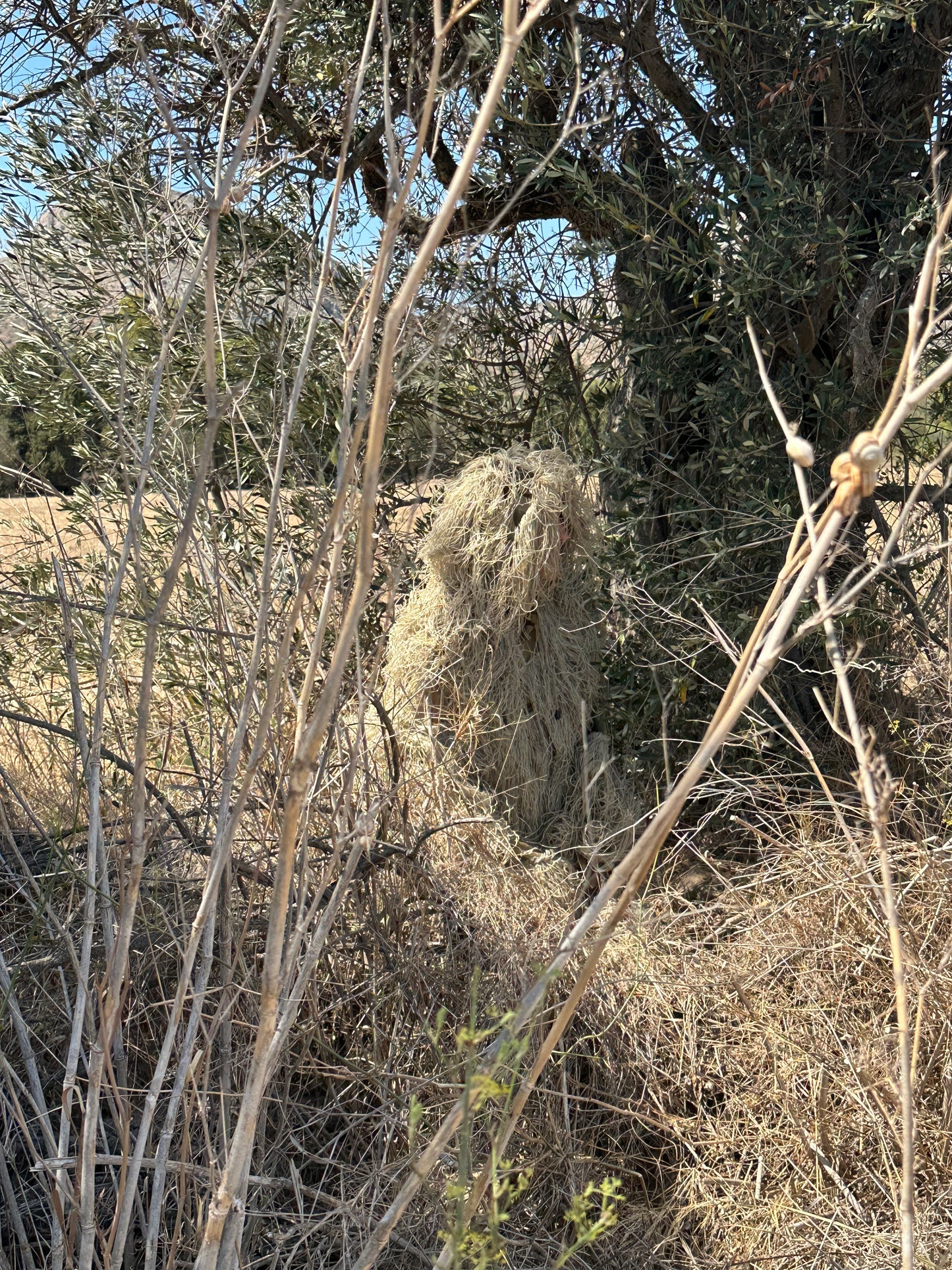 Ghillie Coat Beige