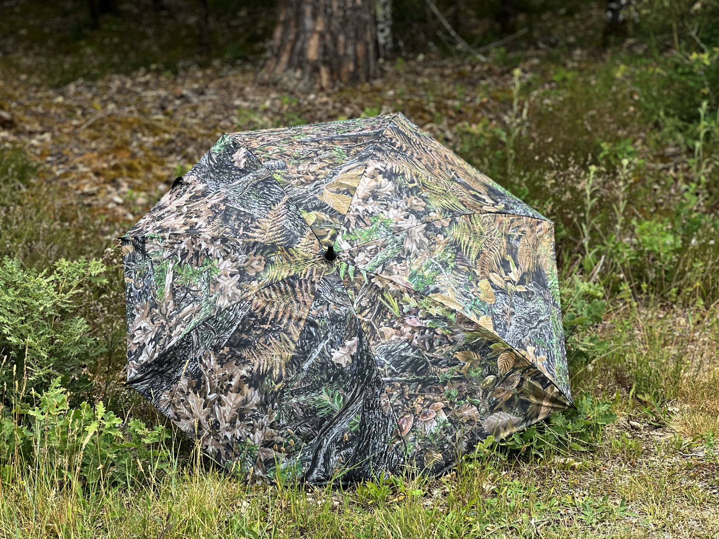 Large Umbrella