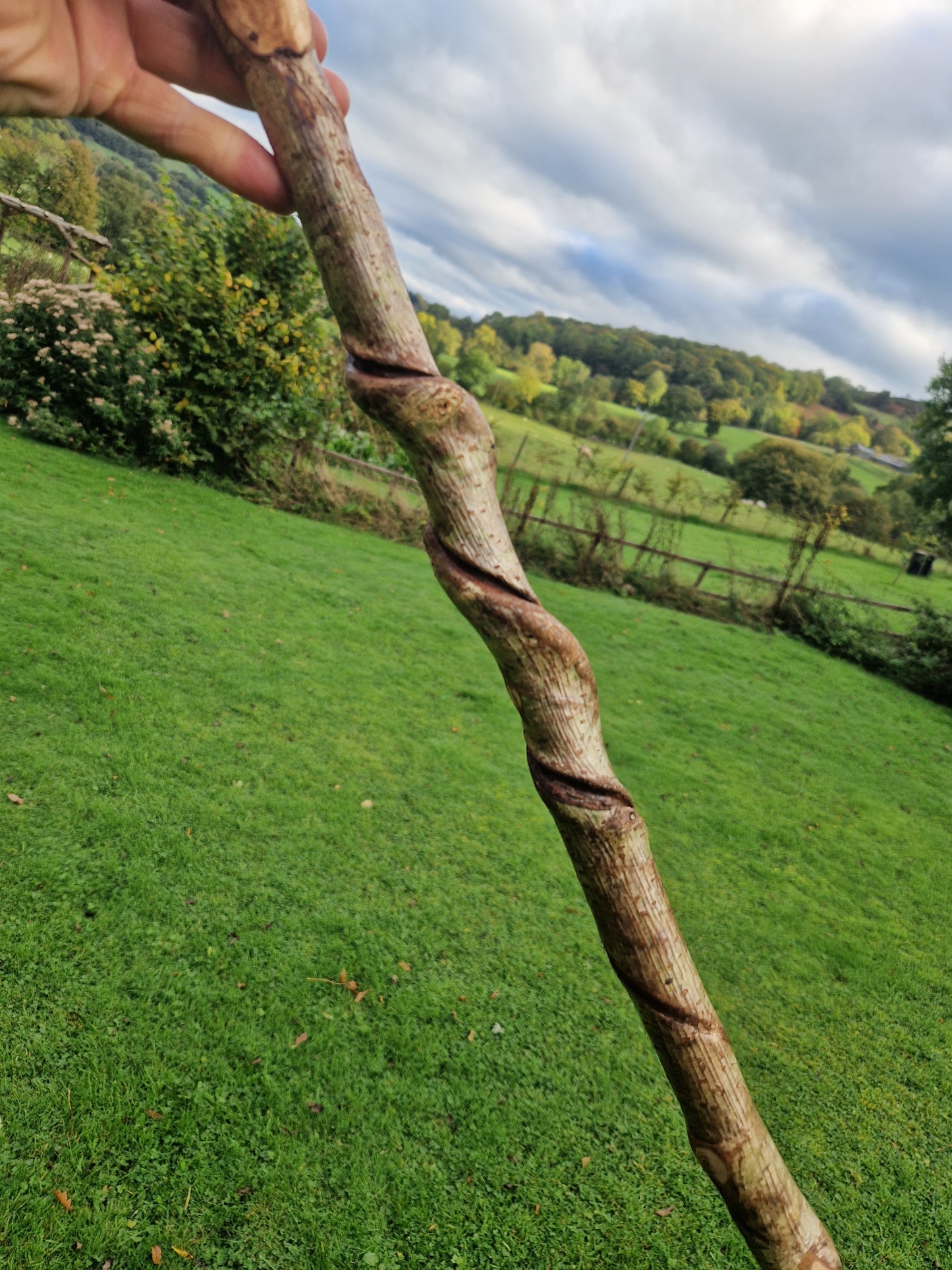 Custom Crafted Thumb Stick