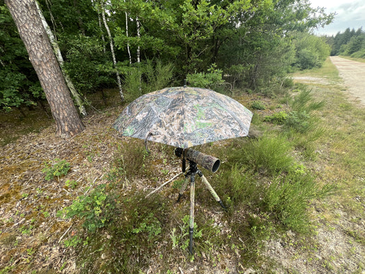 Large Umbrella