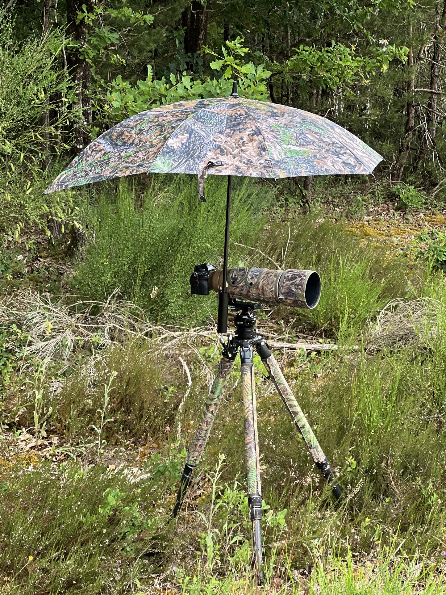 Large Umbrella