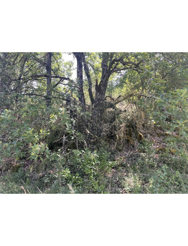 Camo Net 2PLY understorey